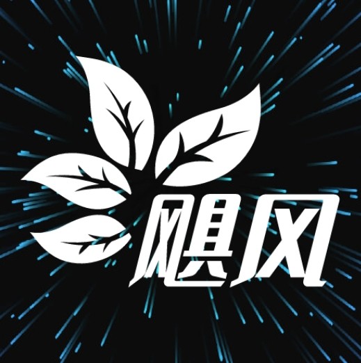 9.1网站大片pptAPPAPP应用